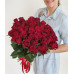 Roses 50 cm