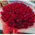 Roses 50 cm