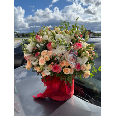 Коробочка - Каролина