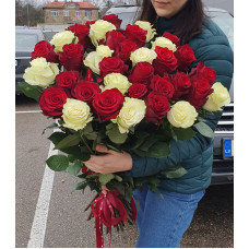 Roses 80 cm