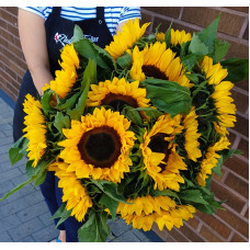 Sunflowers 
