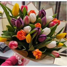 Tulpes