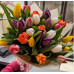 Tulpes