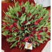 Tulpes
