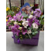 Flower box - Violet surprise