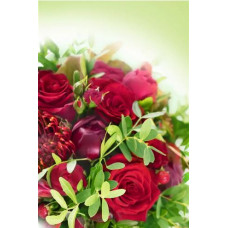 Postcard - Red rose 8x12cm