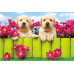 Postcard - Two puppies 10.5x15.7cm