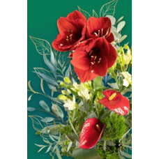 Postcard - Red amarillis 8x12cm