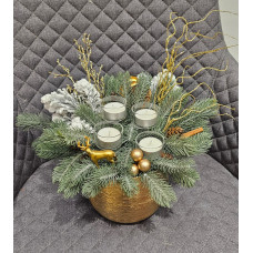 Advent composition in a gold pot 