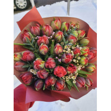 Pušķis - Tulpju fantāzija 