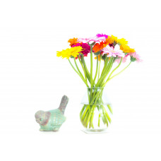 Gerberas
