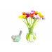 Gerberas