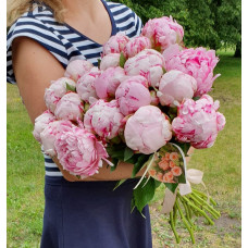 Peonies