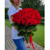 Roses 70 cm